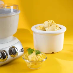 Discount Ice Cream Maker Attachment Italian Ingredients|Baking Supplies & Equipment