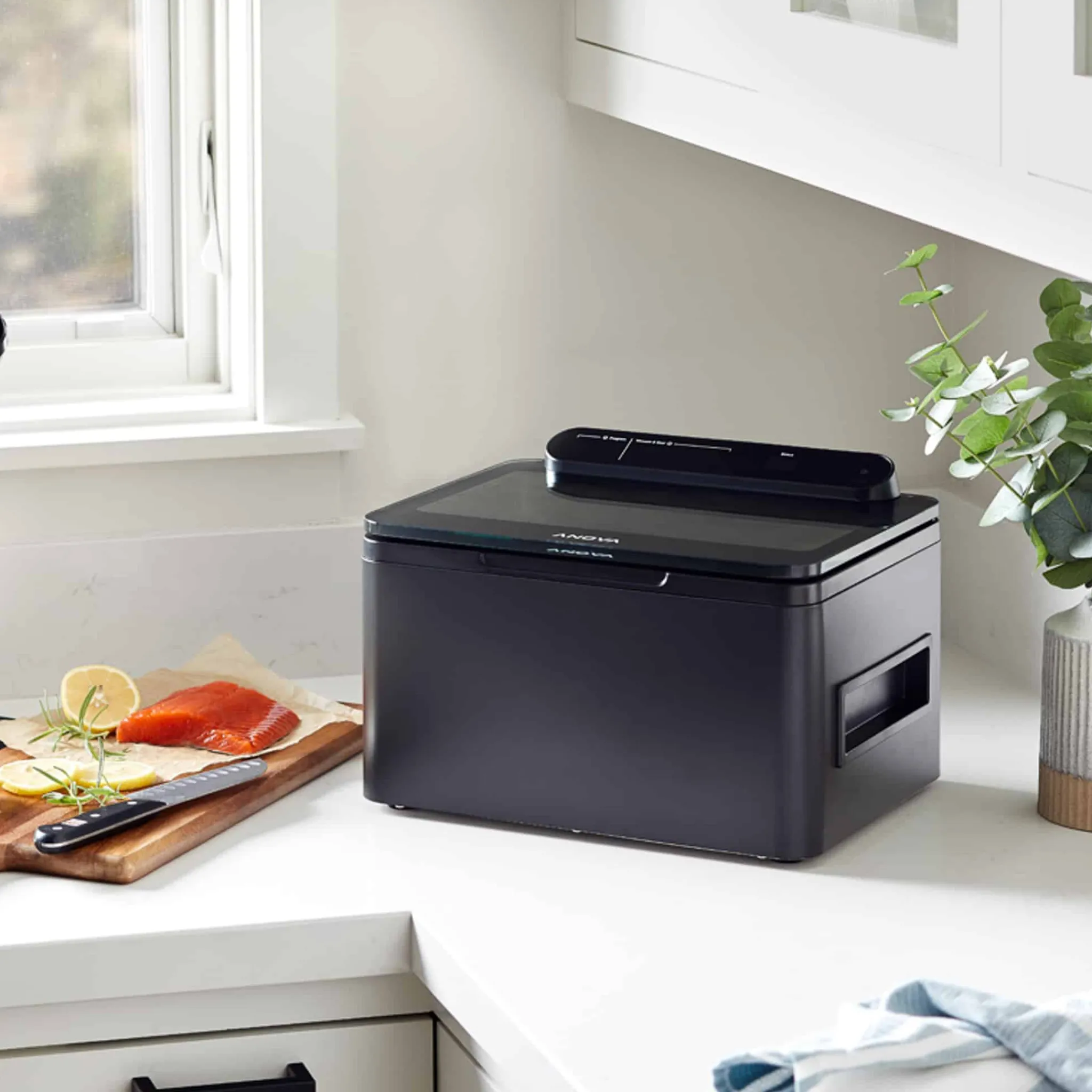 Best Precision Chamber Vacuum Sealer Kitchen Electricals