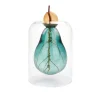Outlet Avocado Seed Glass Vase Tableware Brands
