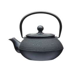 Best Black Cast Iron Teapot, 600ml Tableware Brands|Japanese Ingredients