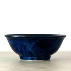 Online Blue Sakura Ramen Bowl, 21cm Japanese Ingredients|Japanese Tableware
