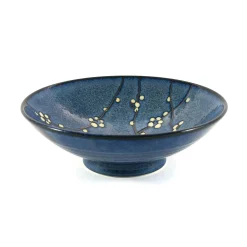 Online Blue Sakura Shallow Bowl, 24.5cm Japanese Ingredients|Japanese Tableware