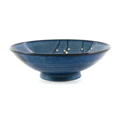 Online Blue Sakura Shallow Bowl, 24.5cm Japanese Ingredients|Japanese Tableware