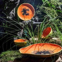 New Tropical Fruits Papaya Serving Platter, 35x23cm Table Setting|Serveware