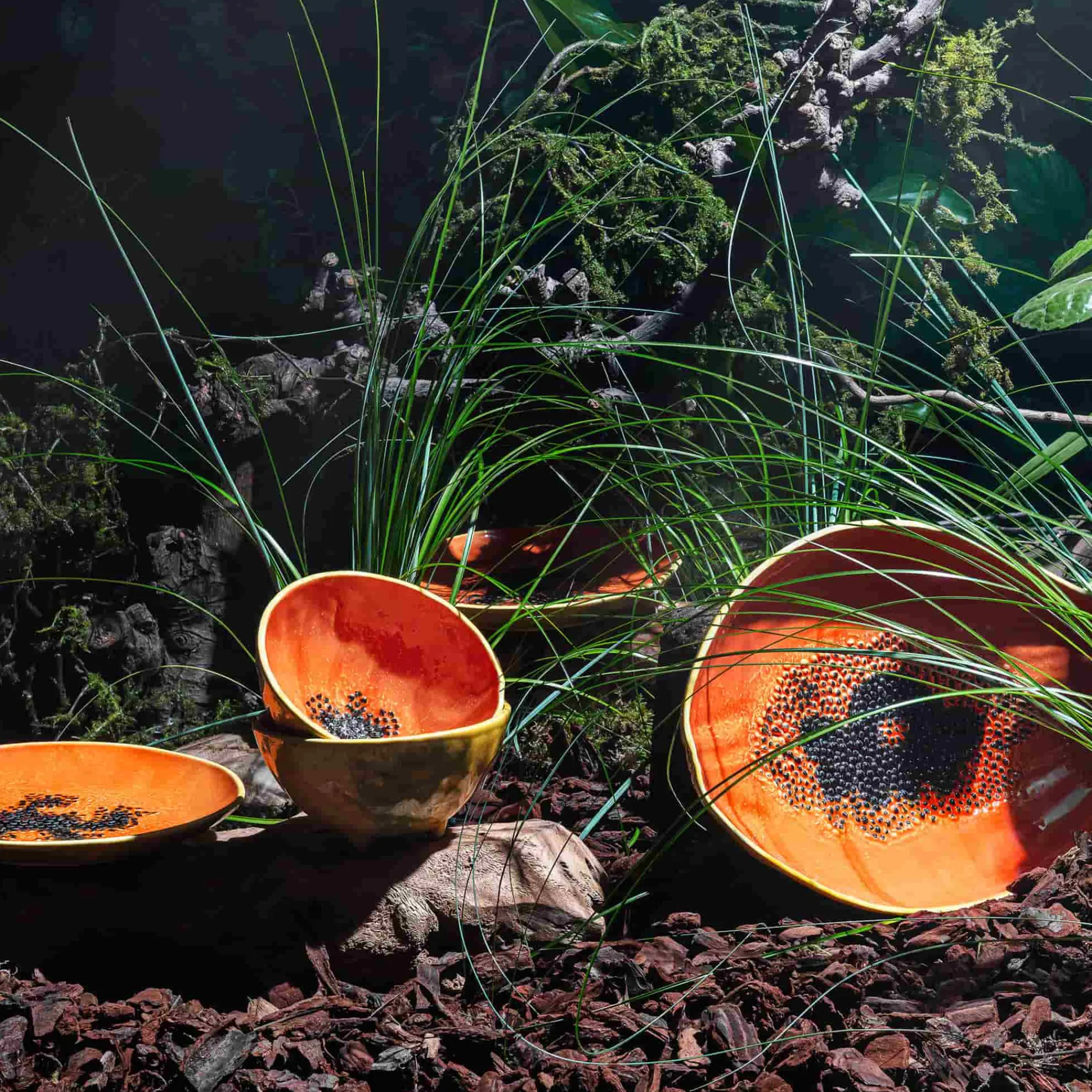 New Tropical Fruits Papaya Serving Platter, 35x23cm Table Setting|Serveware
