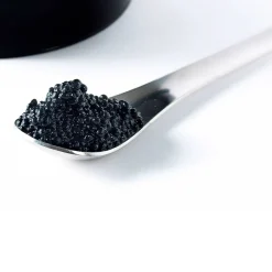 Best Vegan Caviar Vegetables|Ingredients Brands
