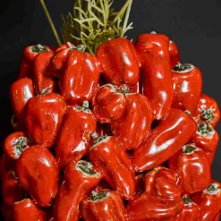 Clearance Ceramic Pepper Vase Tableware Brands