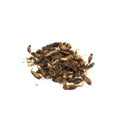 Clearance Edible Crickets, 20g Ingredients Brands|Made In The Uk