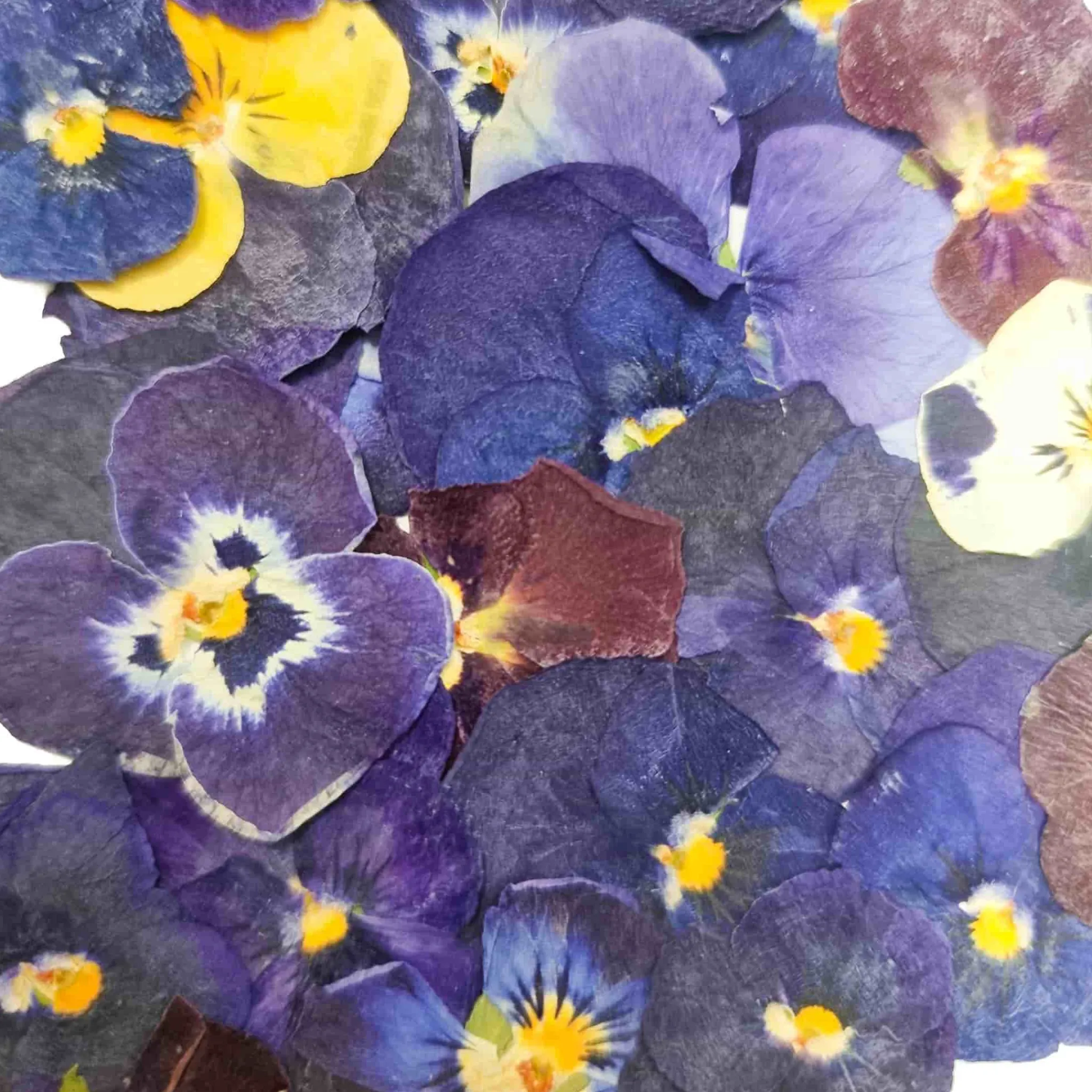 Edible Dried & Pressed Violas, 25 pieces Ingredients Brands|Baking Ingredients