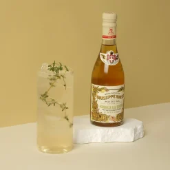 Hot Giusti Sweet and Sour Ginger Condiment, 250ml Ingredients Brands|Italian Ingredients