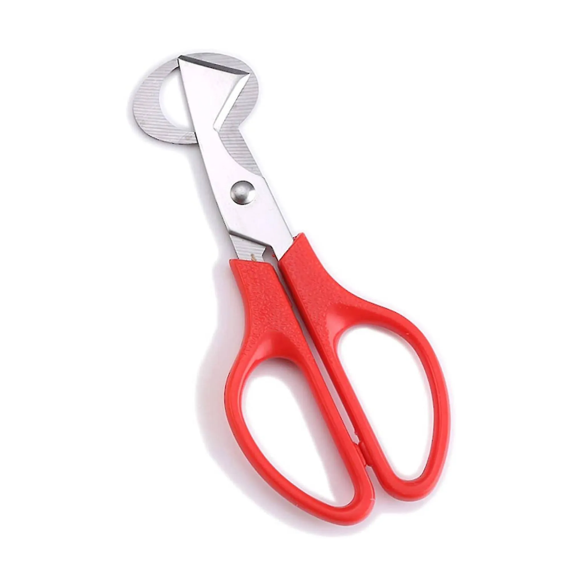 Japanese Quail Egg Scissors Japanese Ingredients|Kitchen Tools & Utensils