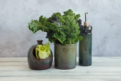 Clearance Lagoa Kitchen Utensils Jar Tableware Brands|Kitchen Tools & Utensils
