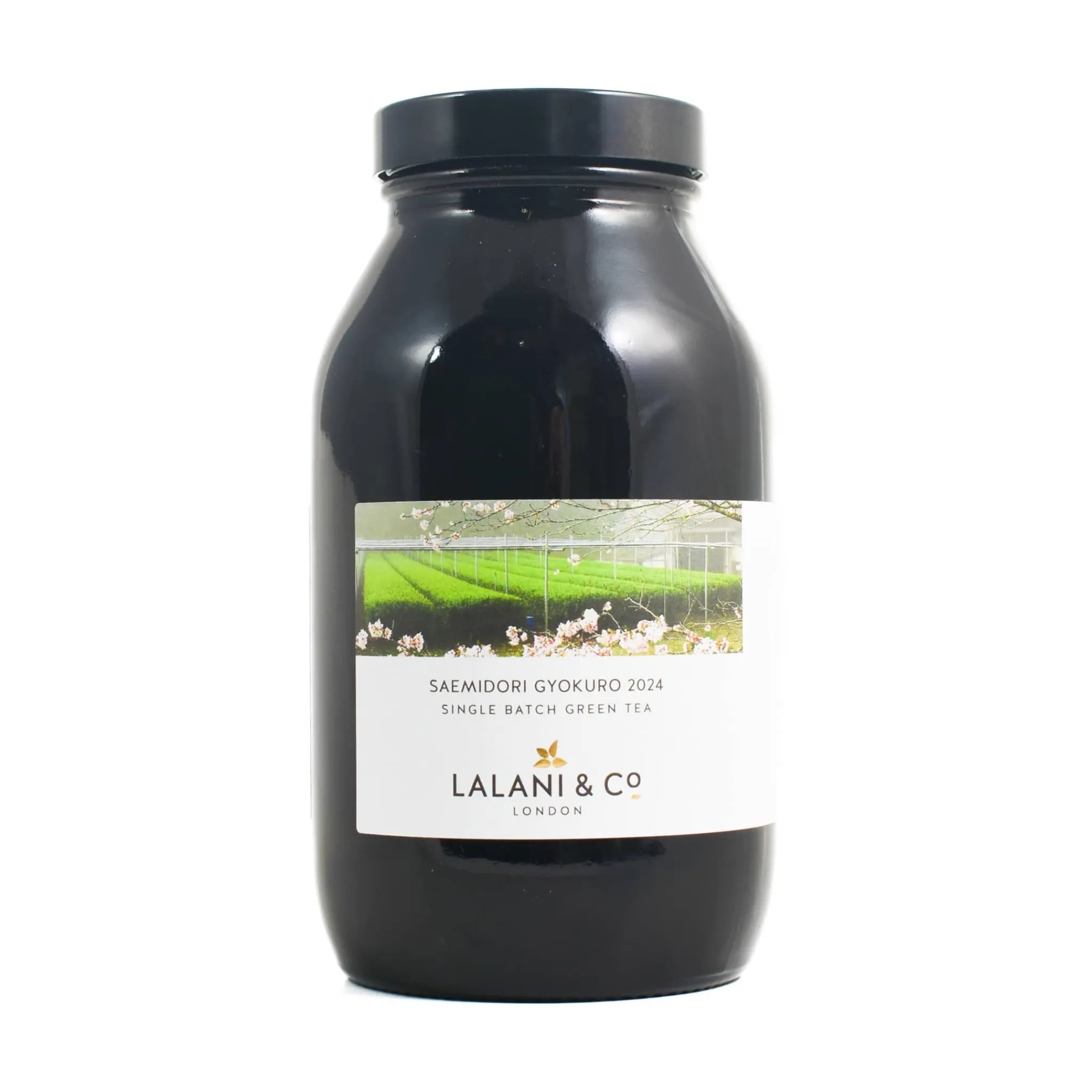 Clearance Saemidori Gyokuro Loose Leaf Tea, 100g Ingredients Brands|Drinks