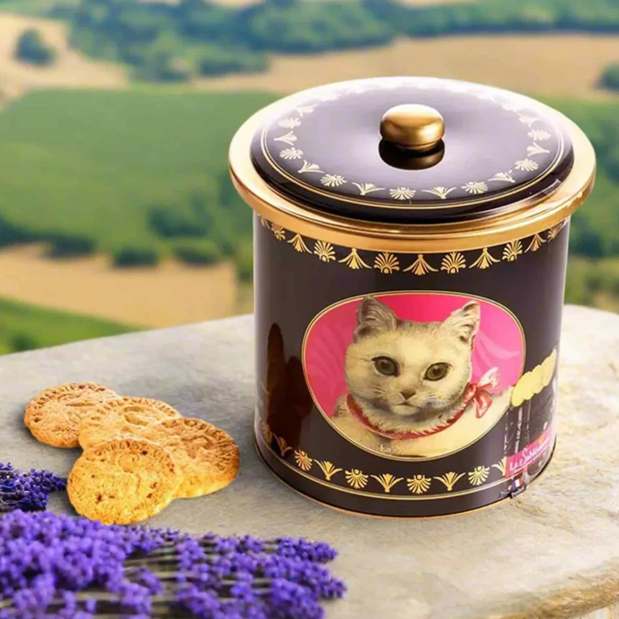 Discount French Sable Biscuits in Round Cat Tin, 250g Ingredients Brands|French Ingredients
