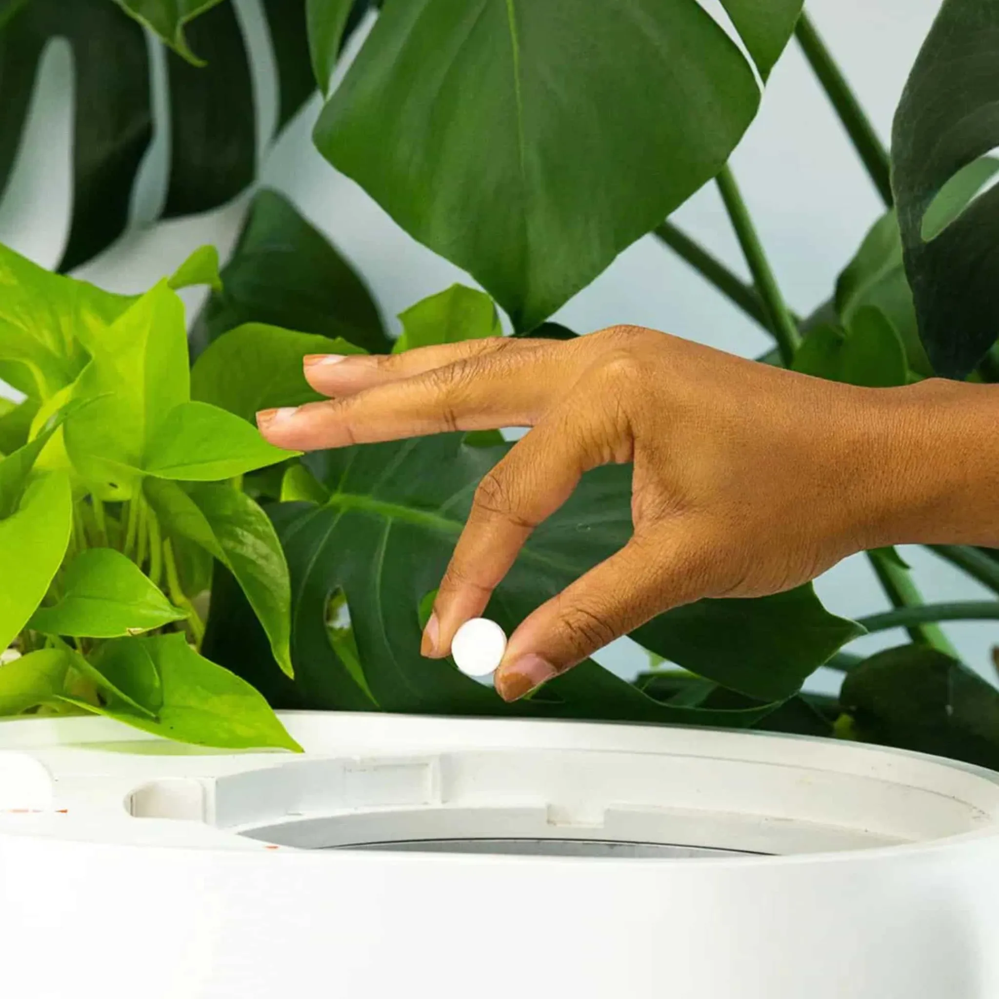 Online Microbe Pods Kitchen Tools & Utensils