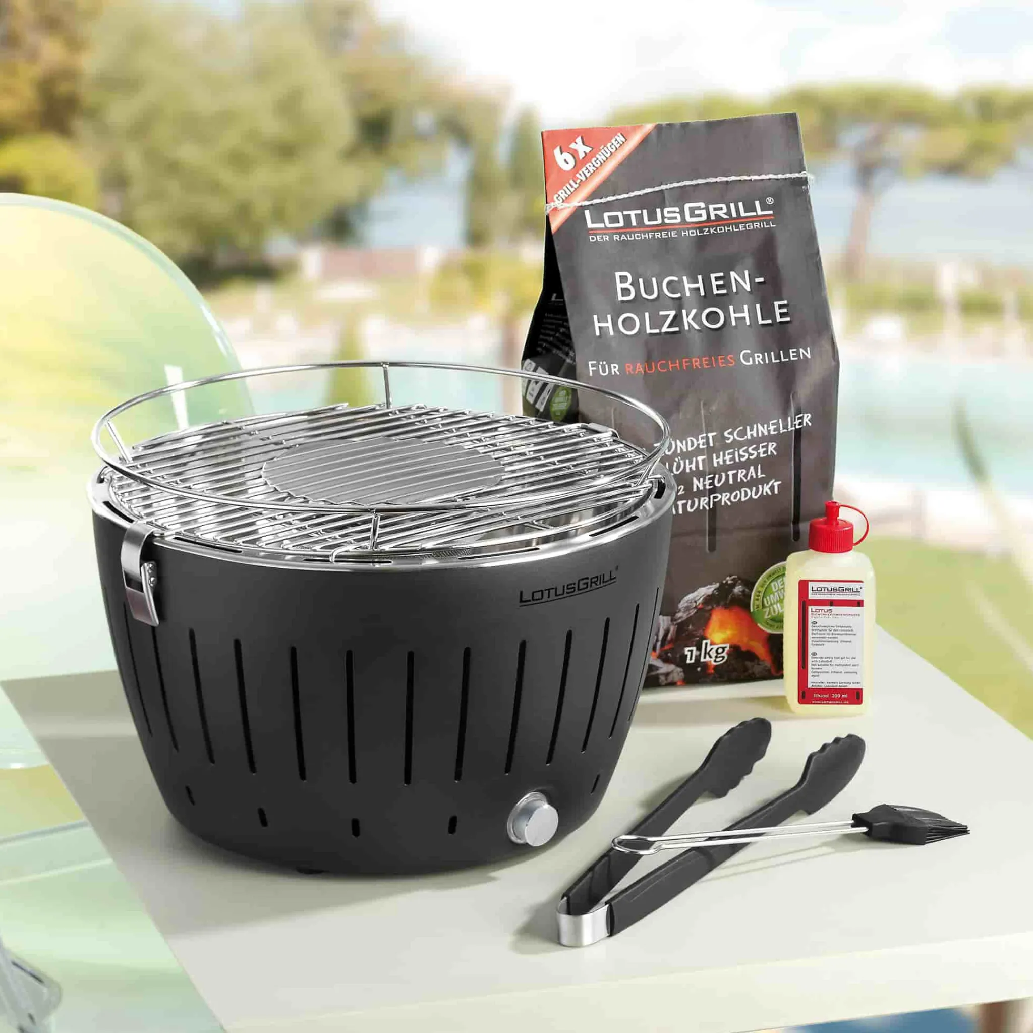 Standard, Anthracite Food Smokers|Bbq & Smoking