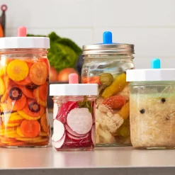 Complete At Home Wide Mouth Fermentation Kit Pickling, Preserving & Fermenting Jars|Recipe Kits