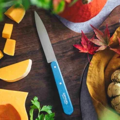 Hot No 112 Blue Beechwood Handle Paring Knife, 10cm Kitchen Knives
