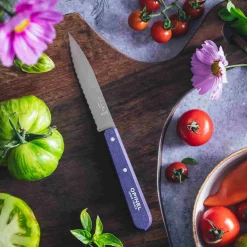 Hot No 113 Violet Beechwood Handle Serrated Paring Knife, 10cm Kitchen Knives