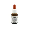 Clearance Natural "Mugo" Pine Flavouring, 15ml Ingredients Brands|Italian Ingredients