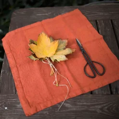New Set of 2 Rust Linen Napkins Table Setting|Kitchen Textiles & Clothing