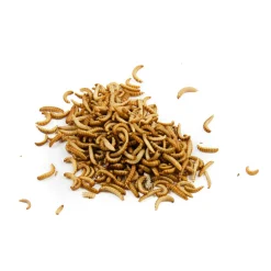Clearance Short Dated Edible Buffalo Worms, 20g Ingredients Brands|Made In The Uk