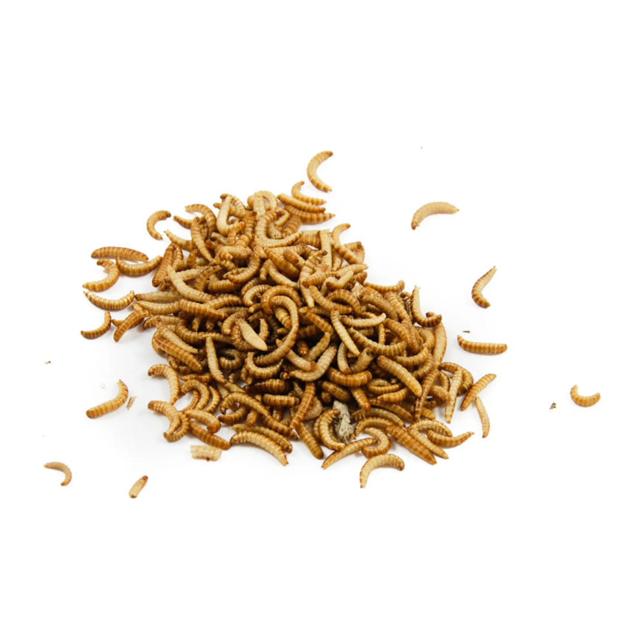 Clearance Short Dated Edible Buffalo Worms, 20g Ingredients Brands|Made In The Uk