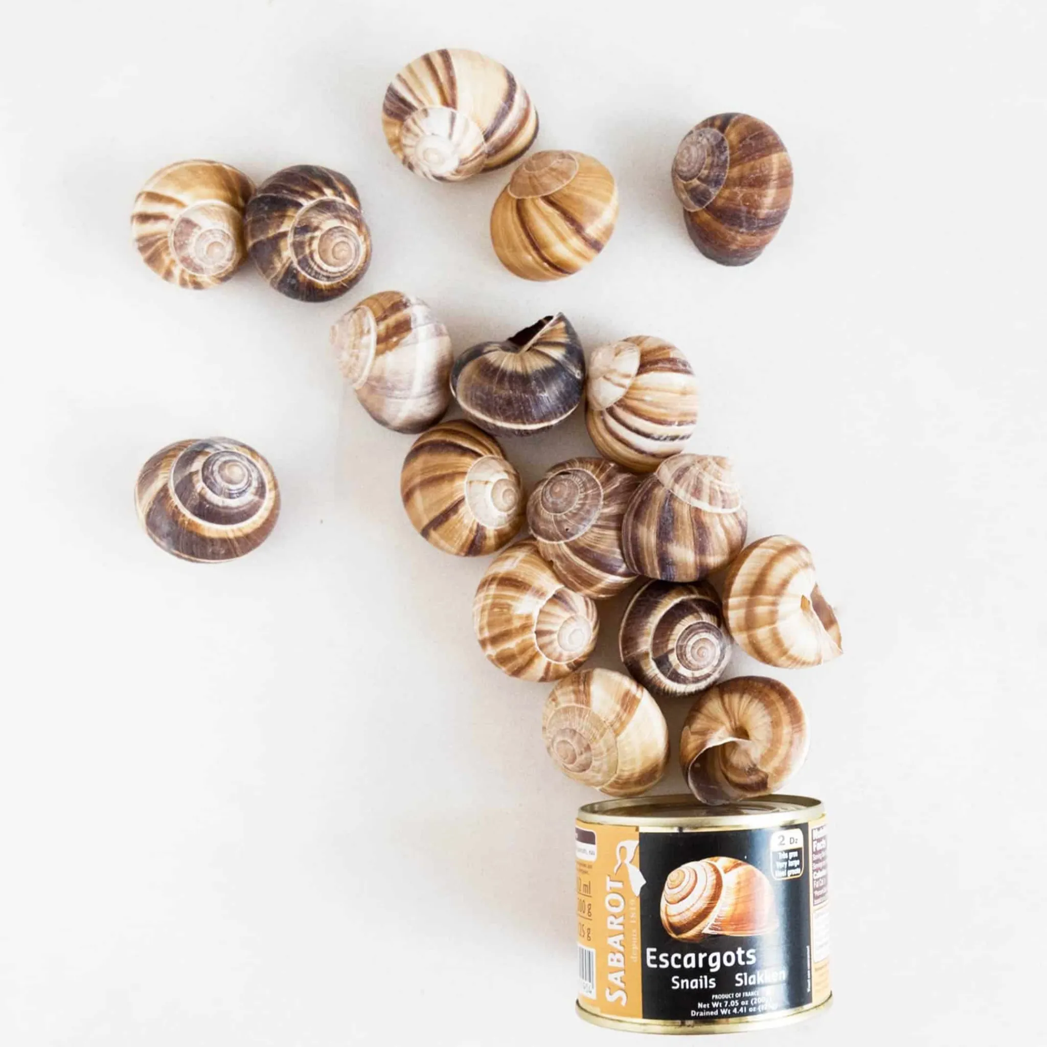 New Tinned Snails With Shells, 300g Ingredients Brands|French Ingredients