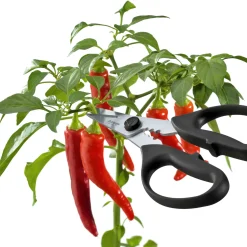 Best Take Apart Kitchen & Herb Scissors Kitchen Tools & Utensils