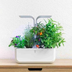 Sale Classic Indoor Herb Garden Tableware Brands|Kitchen Electricals