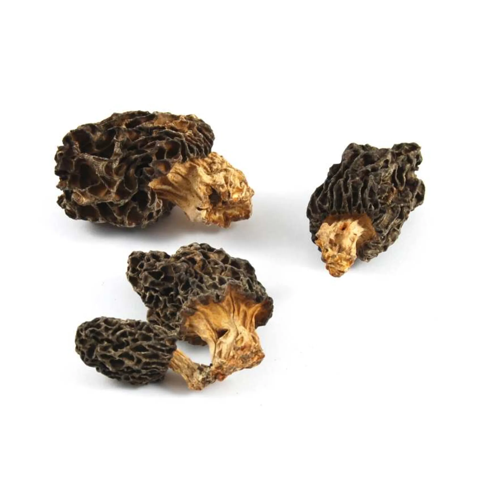 Best Wild Morel Mushrooms, 30g Ingredients Brands|Italian Ingredients