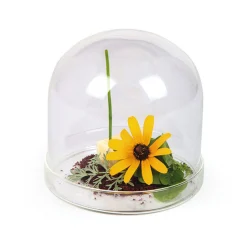 New 2 x Large Domed Glass Cloche, 11cm dia Tableware Brands|Serveware